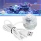 thumbnail image 5 of Foco LED Para Acuario, Foco De Gradiente De Luz Para Peceras Plástico Brillante Para Agua De Mar Para Agua Dulce OTVIAP LED Aquarium Spot Light, 5 of 8