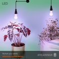 thumbnail image 6 of SYLVANIA General Lighting 40023 A21 Ultra LED Grow Lamps, Frosted Finish, 17 Watts, 6 of 7
