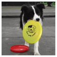 thumbnail image 3 of Frisbee Colores Múltiples Para Perro, 3 of 3