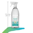Method Eucalyptus Mint 28 oz. Daily Shower Cleaner (2 pack)