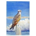 thumbnail image 1 of Betsy Drake GT1109 Osprey Storm Guest Towel, 1 of 1