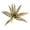 A, variant on Artificial Plants, Large Simulated Persian Leaves, Faux Fern Aquatic Plant Bundles, Realistic Fake Greenery for Indoor Outdoor Home Office Garden Wall Decor, Easy Care( E )