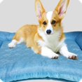thumbnail image 4 of Lit Rafraîchissant pour Animaux avec Caractéristiques Résistantes aux Rayures et Absorbant la Chaleur - Parfait pour le Confort Estival, 4 of 5