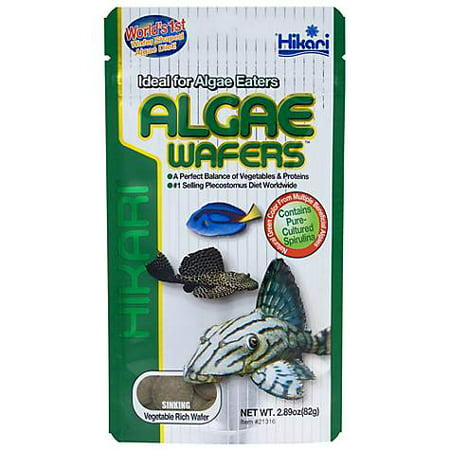 Hikari Tropical Algae Wafers for Plecostomus & Algae Eaters (pack of (Best Saltwater Algae Eaters)