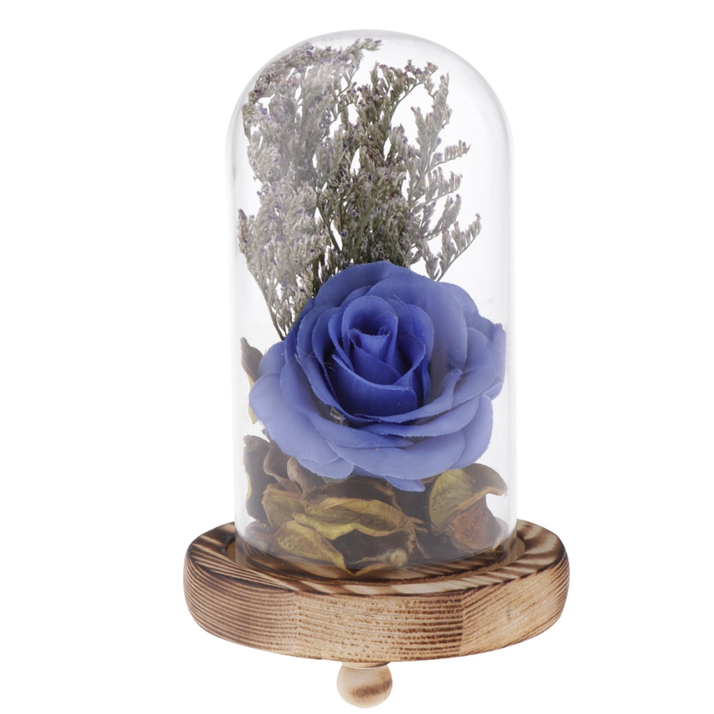 Decorative Clear Glass Cloche Bell Jar Display Flower Vase Micro Landscape 