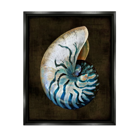 Stupell Industries Dark Nautilus Shell Nature Painting Black Floater Framed Canvas Art Print Wall Art, 17 x 21