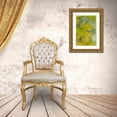 thumbnail image 3 of Jaynes Gallery 17x24 Gold Ornate Wood Framed with Double Matting Museum Art Print Titled - USA-Washington State-Seabeck Bigleaf maple leaves close-up in autumn, 3 of 4