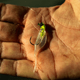thumbnail image 2 of 6th Sense – Clobber Minnow – Soft Plastic Crappie Bait, Thick Profile Finesse Minnow (12/pk), 2 of 8