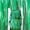 Green, variant on Jiaroswwei Glitter Tinsel Foil Fringe Curtain Backdrop Birthday Wedding Hawaii Party Decor