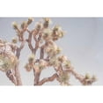thumbnail image 3 of Urquhart, Elizabeth 14x11 Black Modern Framed Museum Art Print Titled - Desert Floral I, 3 of 5