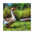 thumbnail image 1 of Goose in Passionate Hues - Canvas, 1 of 10