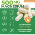 thumbnail image 3 of Forest Leaf Advanced Magnesium Complex 5-in-1 Magnesium Supplement, 500 mg 120 Capsules, 3 of 9
