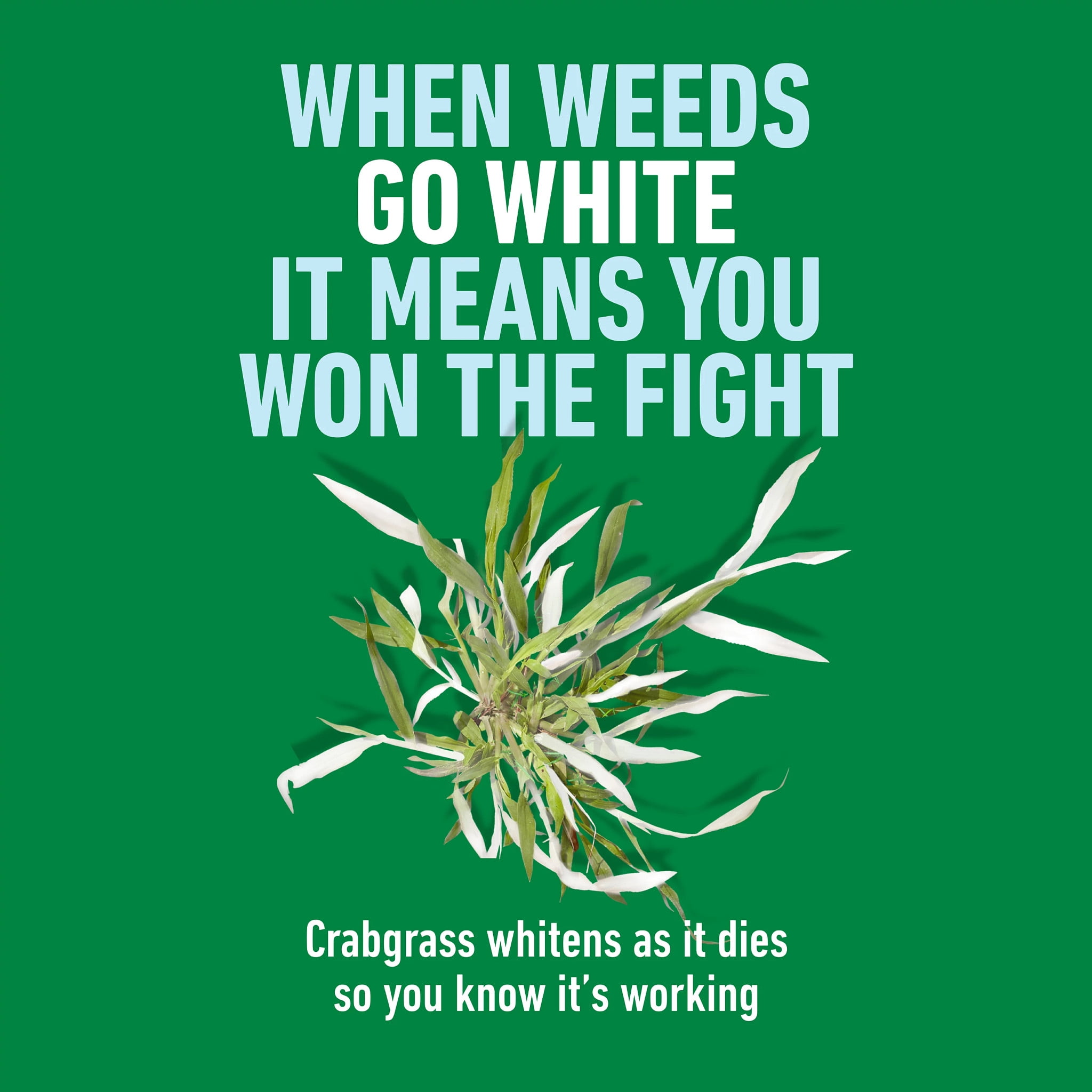 Roundup for Lawns Crabgrass Destroyer2, Tough Weed Killer, Ready-To-Use, 64 oz.