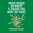 thumbnail image 3 of Roundup for Lawns Crabgrass Destroyer2, Tough Weed Killer, Ready-To-Use, 64 oz., 3 of 6
