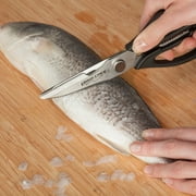 Ergo Chef Come Apart Multipurpose Kitchen Shears, Stainless Steel, Black