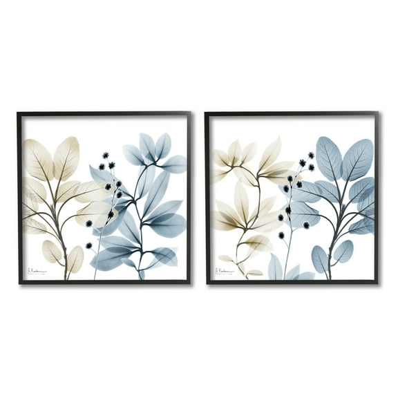 Stupell Industries Contemporary Plant Sprigs Botanical & Floral Painting Black Framed Art Print Wall Art, 12 x 12, Set of 2