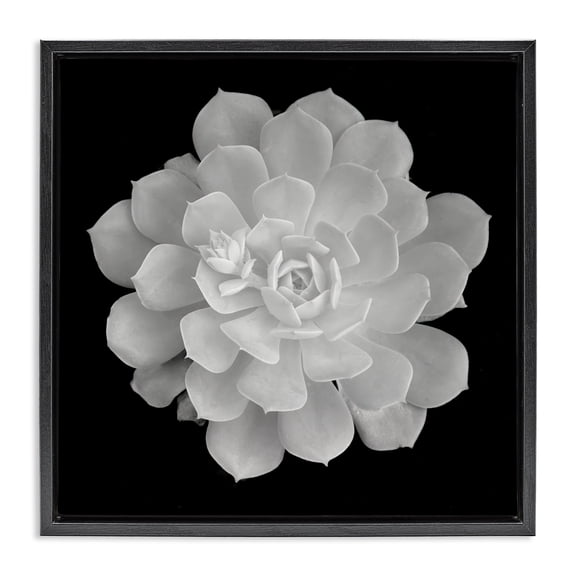 Pure White Succulent Contrast Black Framed Floater Canvas Wall Art, design by Phillip Flowers