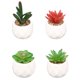 thumbnail image 1 of Laklulu Decoración para el hogar Macetas de cerámica carnosas-mini carnosas con Diamante, 1 of 5