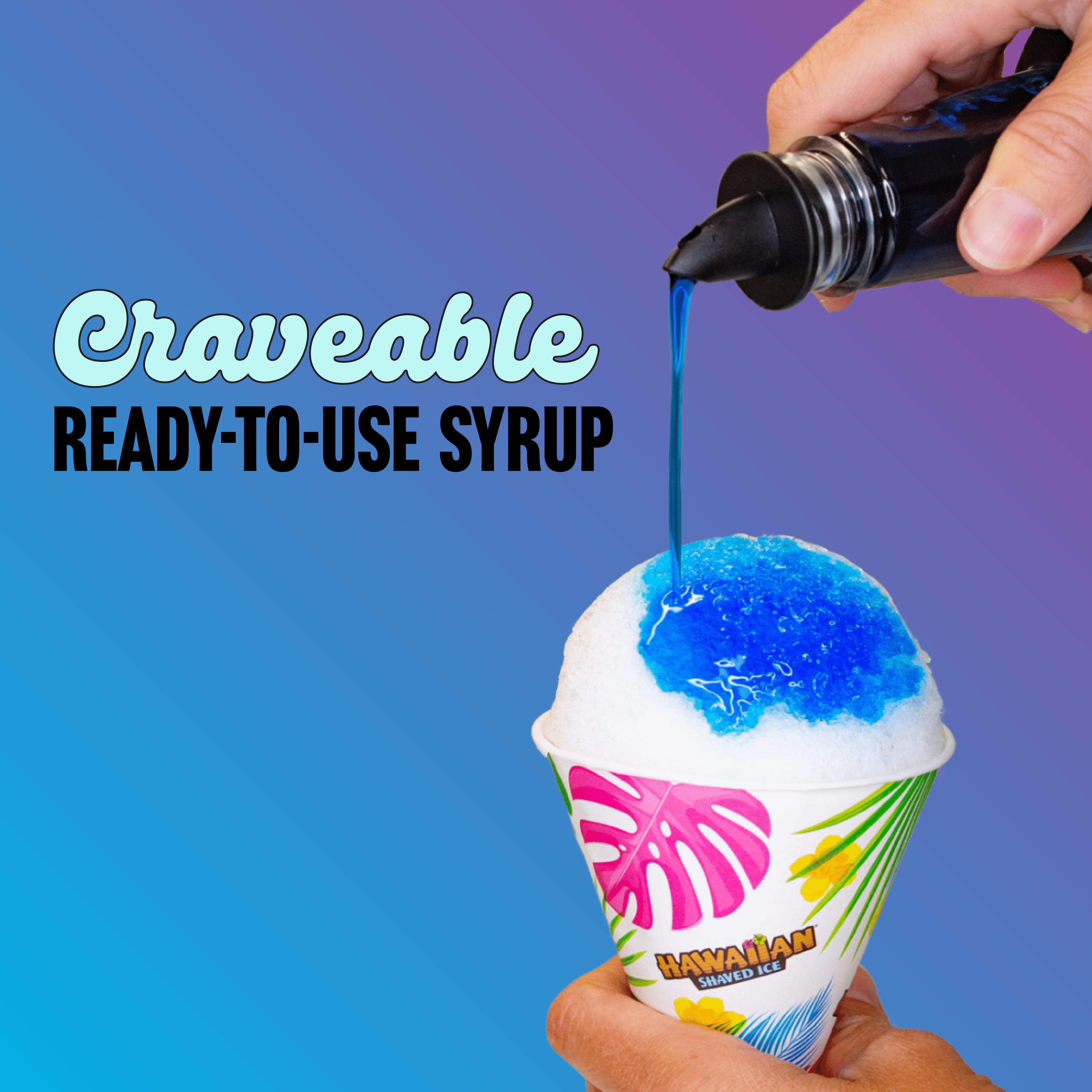 Hawaiian Shaved Ice Snow Cone Syrup The Classic Pack, 6 Pints, Shelf-Stable