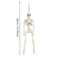 thumbnail image 2 of Halloween Skeleton Decorations 16 Inch Posable Plastic Skeleton Colorful Pastel Halloween Decor Hanging Ornament for Indoor Outdoor Front Porch Window Party Home Display 1 Pack, 2 of 2