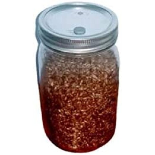 Codllyne Sterilized Rye Grain Mushroom Substrate in Injectable Jars (1