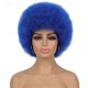 thumbnail image 1 of Zhuge Peluca afro suave de los años 70 para mujeres Pelucas de cabello afro rizado con flequillo Peluca afro de cabello sintético Peluca afro para uso diario en fiestas, Azul oscuro, 1 of 2