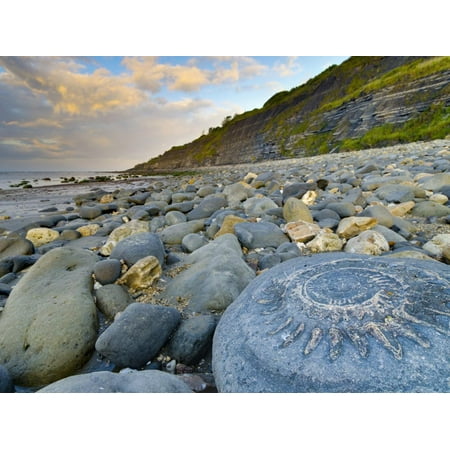Gateways To The Art Lyme Regis, a Gateway Town To UNESCO World Heritage Site of Jurassic Coast, Large Ammonite Fossil Print Wall Art By Alan Copson ()