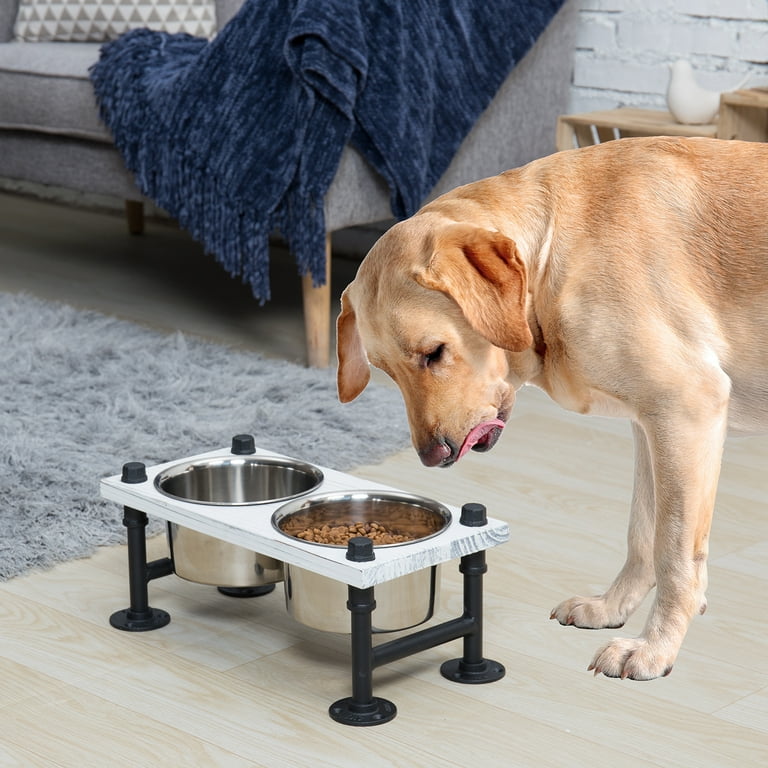 Raised Dog/Cat Elevated Feeder MyGift