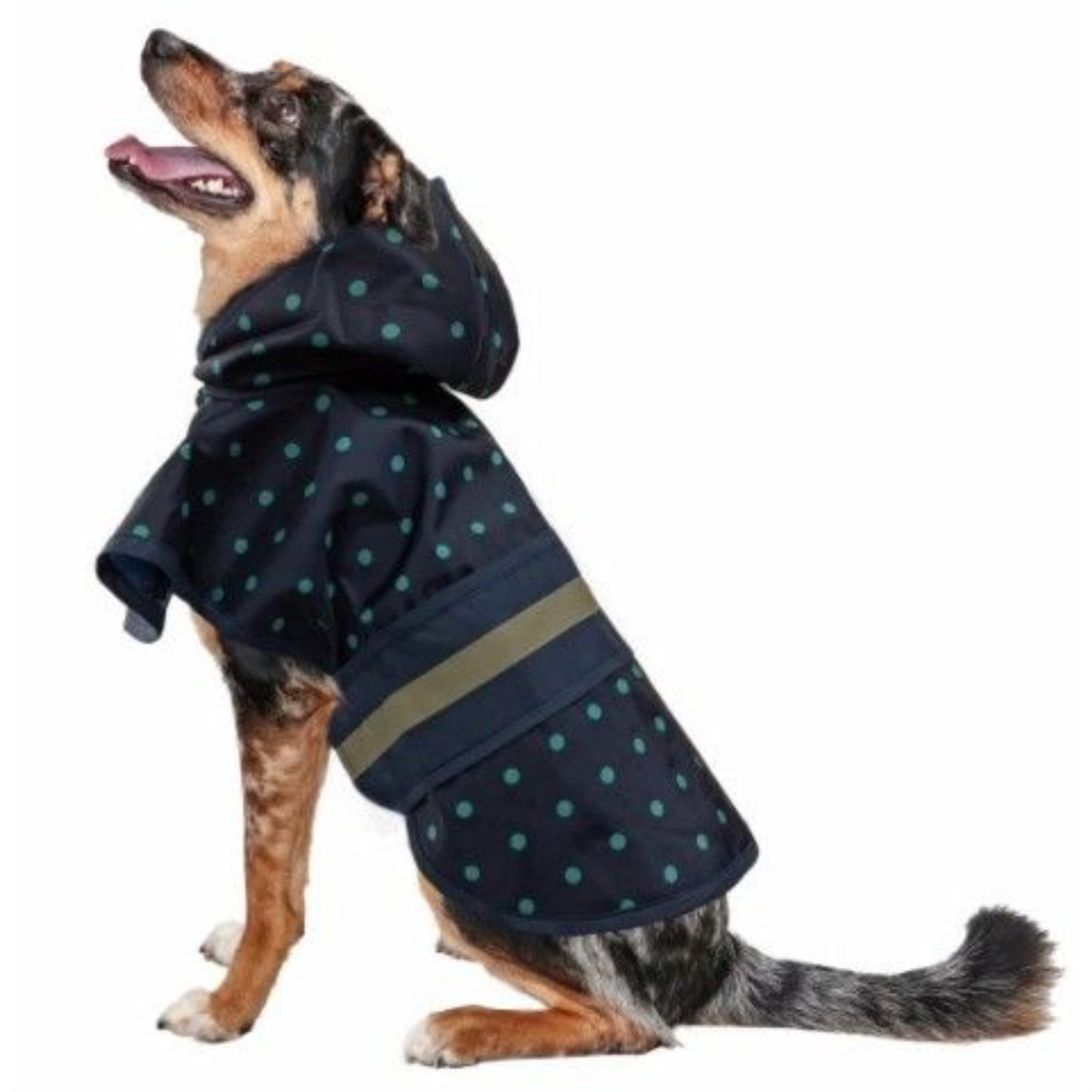 fashion pet dog raincoat