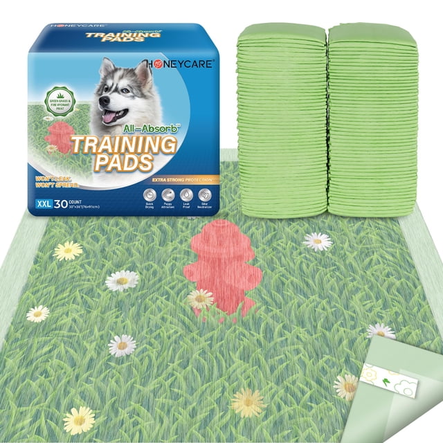 Empapadores para adiestramiento de perros HONEY CARE XXL 76 x 91 cm, 30 unidades