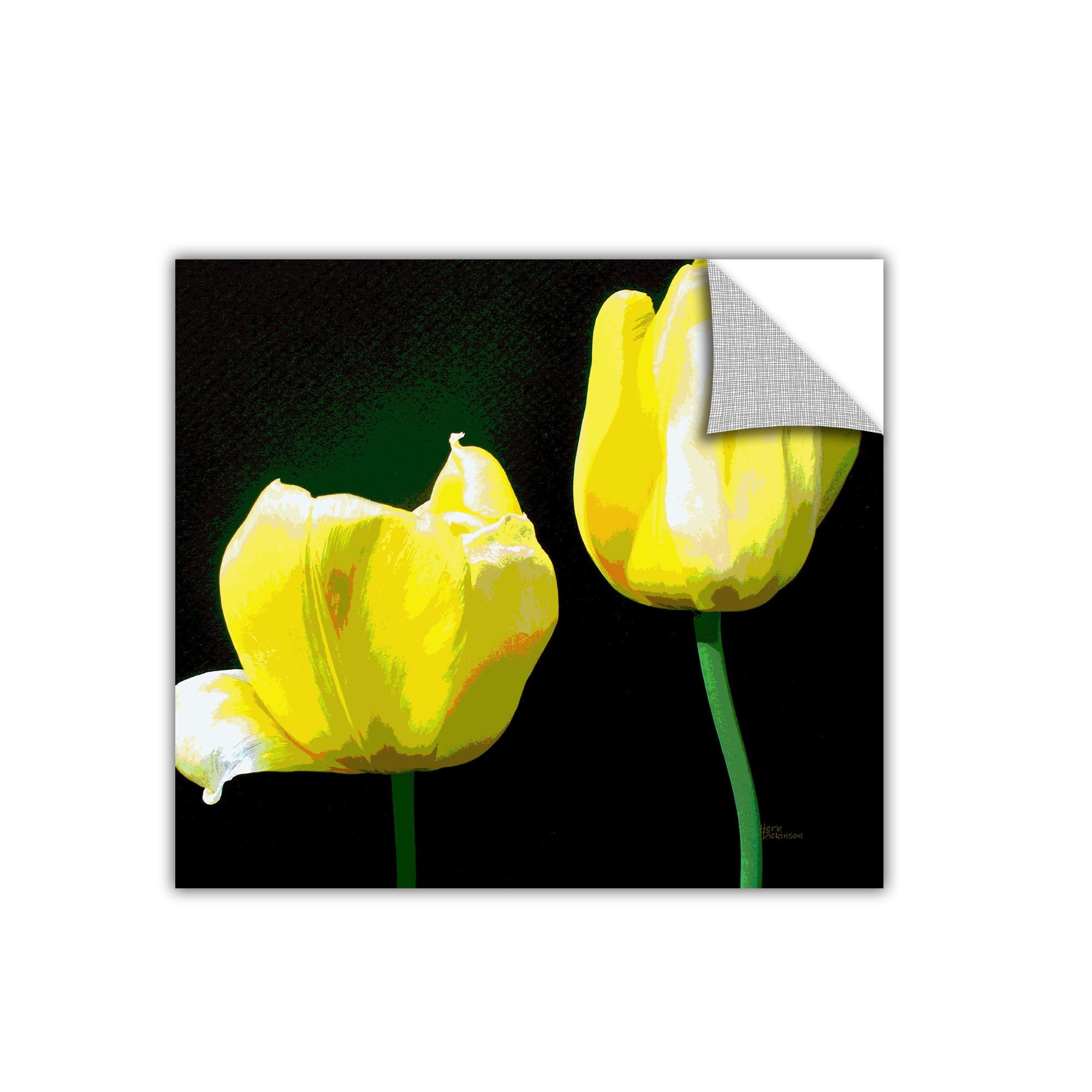 ArtWall Herb Dickinson Yellow Tulips 2 Removable Graphic Wall Art 24 by 24-Inch 