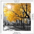 thumbnail image 5 of Art.com Park Pretty II Photographic Print by Assaf Frank, White Frame Wall Art, 29" x 29", 5 of 5