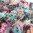 thumbnail image 4 of 1 Boites Vraies Fleurs Sechees Naturelles Melangees Plusieurs Fleurs Sechees Surtidos Pour Bricolage Artisanat Fait Decoración del hogar De La Maison, 4 of 5