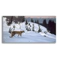 thumbnail image 1 of Epic Art 'Cougar In Snow' by Ron Parker, Acrylic Glass Wall Art, 48"x24", 1 of 8