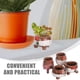thumbnail image 5 of FELTECHELECTR 4 mini macetas decorativas para suculentas, estilo aleatorio., 5 of 5