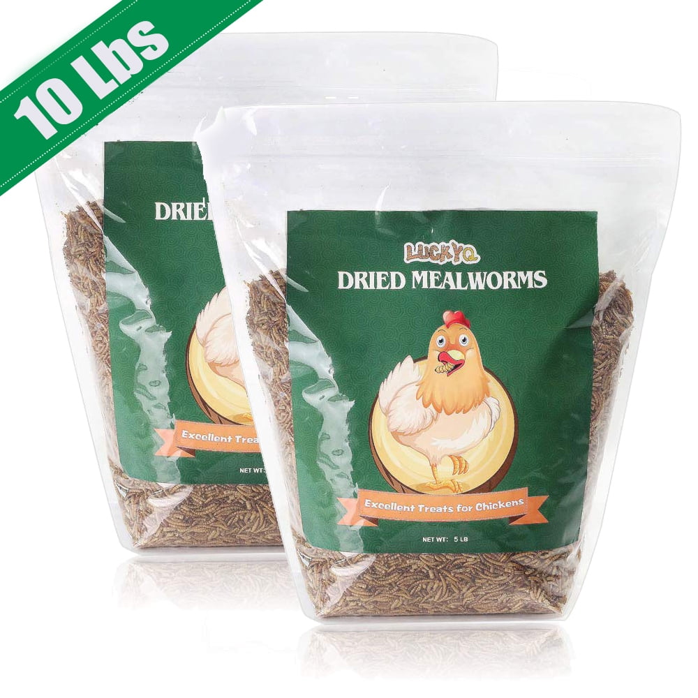 NonGMO Dried Mealworms 100 Natural for chickens Birds Bluebirds