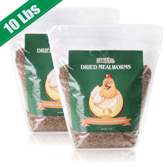 Dried Mealworms