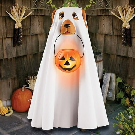 Lighted Ghost Dog in Halloween Costume Decoration