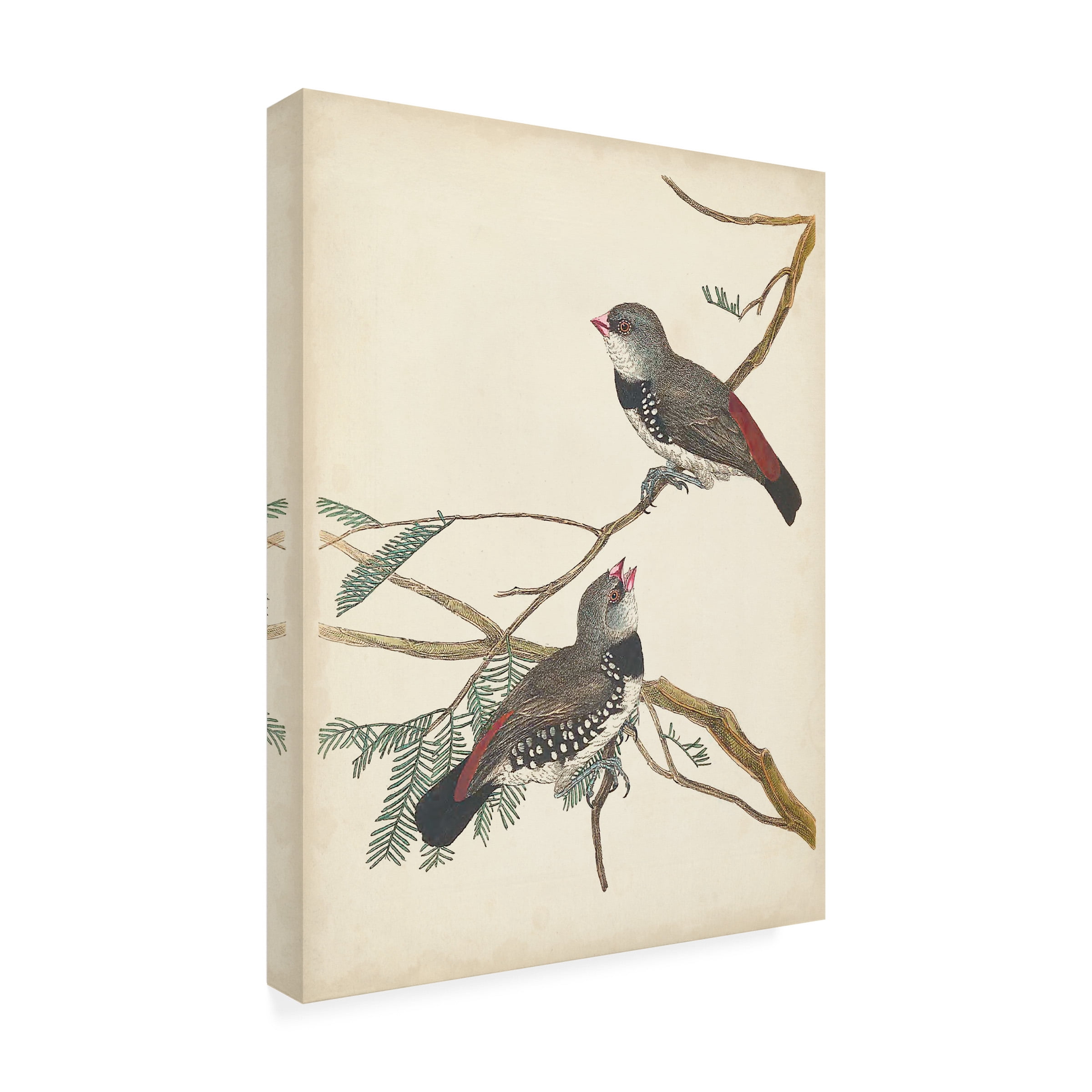Vision Studio 'Graceful Birds I' Canvas Art