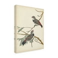 thumbnail image 2 of Vision Studio 'Graceful Birds I' Canvas Art, 2 of 3