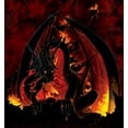thumbnail image 2 of Youth Fireball T-Shirt, 2 of 4