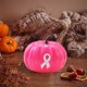 thumbnail image 4 of Thanksgiving And Halloween Charity Pumpkin Ornament, 4 of 6