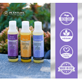 thumbnail image 2 of Plantlife Stress Relief Massage Oil – Soothing Aromatherapy Blend for Calm and Relaxation, Made in California, 4 oz, 2 of 6