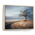 thumbnail image 2 of Designart "Winter Charm In Prairie'S Scenic Beauty" Prairies Floater Framed Canvas Prints, 2 of 5