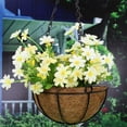 thumbnail image 3 of Fortune Hanging Coconut Fiber Flower Pot Round/Manger Shape Succulent Planter, 3 of 9