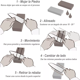 thumbnail image 4 of Piedra Carburo De Silicio Para Afilar Cuchillos Y Navajas 6", 4 of 4