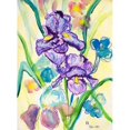 thumbnail image 2 of Betsy Drake FL942 Drapeau 12.5 x 18 Po. Deux Iris, 2 of 2