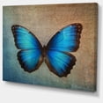 thumbnail image 3 of DESIGN ART Designart - Blue Vintage Butterfly - Floral Canvas Art Print 20 in. wide x 12 in. high, 3 of 5