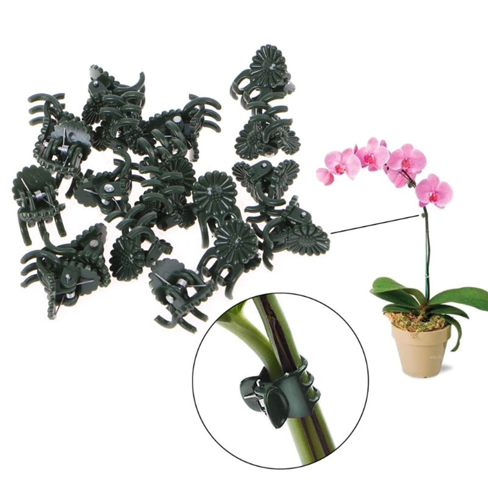 US_30Pcs Orchid Clips Plant Garden Flower Support Mini Plastic Stem Clip Upright 