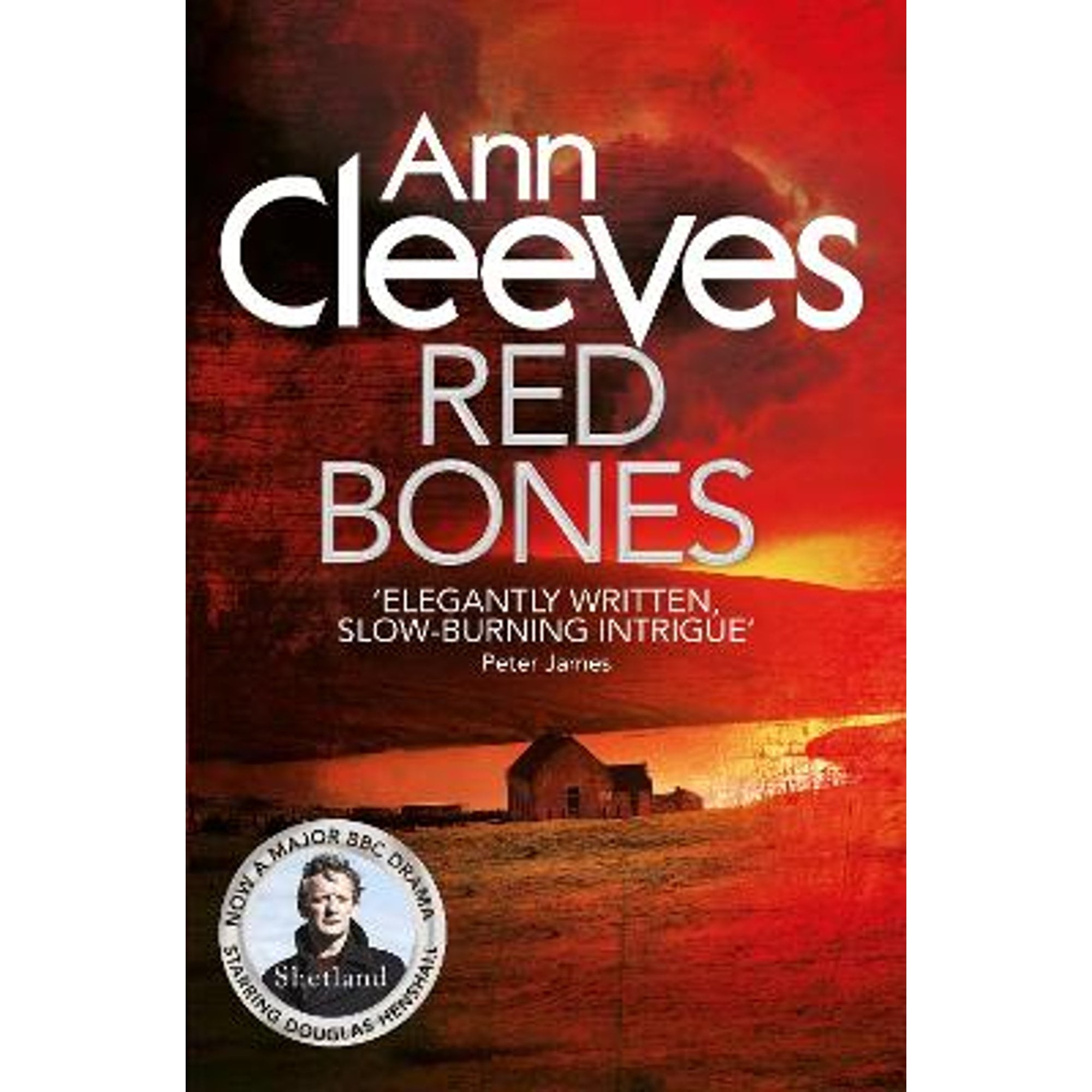 Red Bones (Pre-Owned Paperback 9781447274469) by Ann - Walmart.com